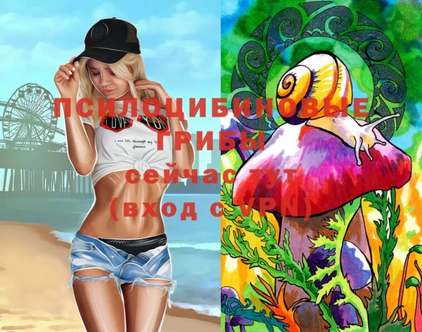 2c-b Богданович