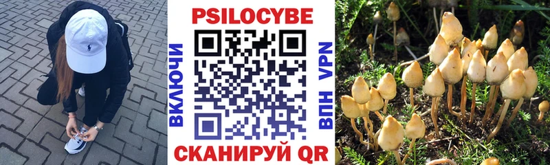 даркнет сайт  Славгород  Галлюциногенные грибы ЛСД 